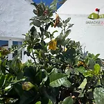 Casa Solandra * コラレホ