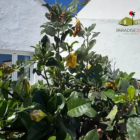 Casa Solandra * Κοραλέχο