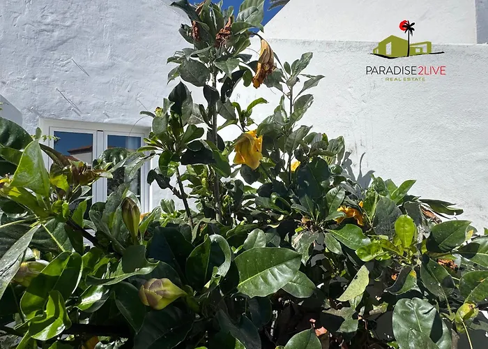 Casa Solandra * 科拉雷侯